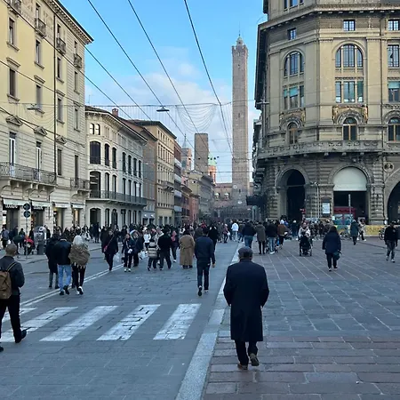 My Center * Bologna